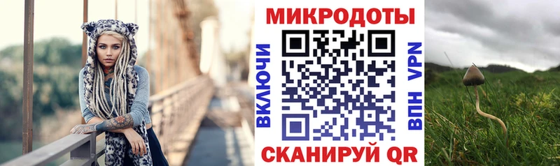 Купить где  Берёзовский  Галлюциногенные грибы Psilocybine cubensis 